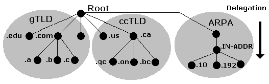 arpa organization