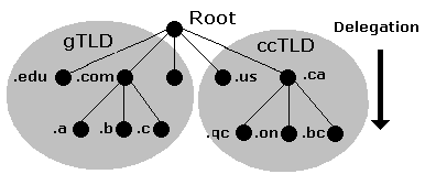 Root and Domain structure